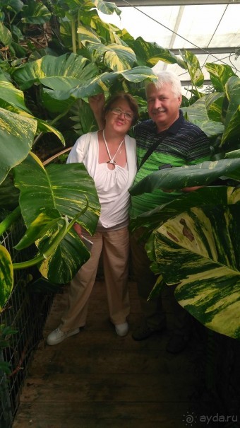 Шалом, Израиль! Часть 8. Парк орхидей "Утопия".