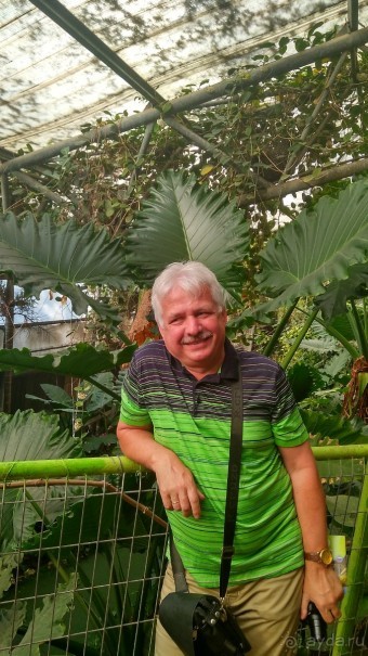 Шалом, Израиль! Часть 8. Парк орхидей "Утопия".