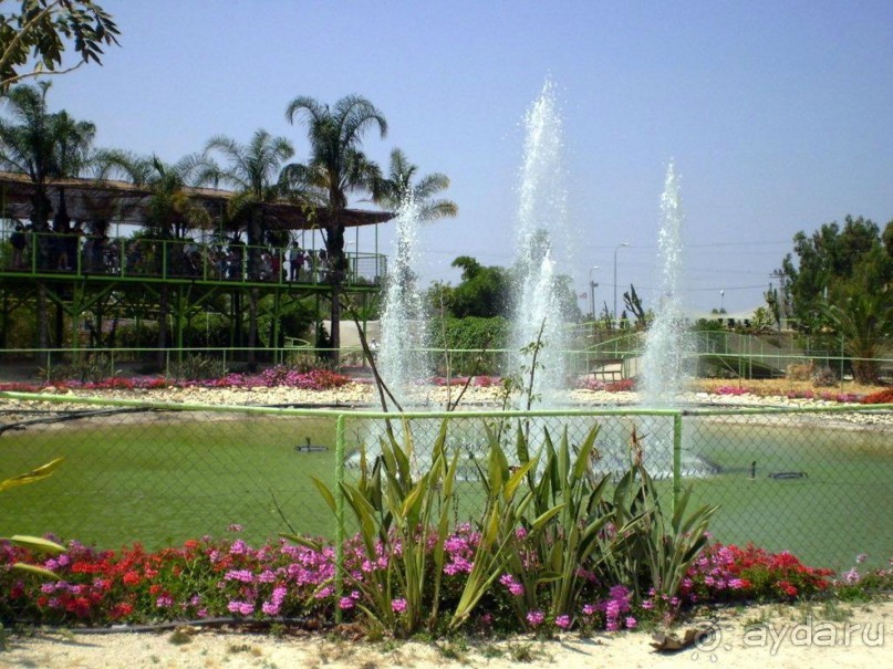 Шалом, Израиль! Часть 8. Парк орхидей "Утопия".