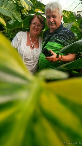 Шалом, Израиль! Часть 8. Парк орхидей "Утопия".