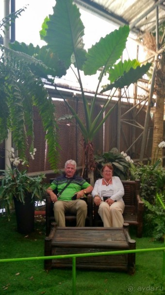 Шалом, Израиль! Часть 8. Парк орхидей "Утопия".