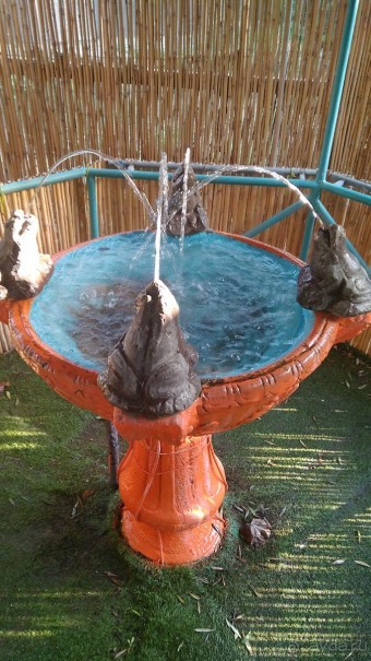 Шалом, Израиль! Часть 8. Парк орхидей "Утопия".