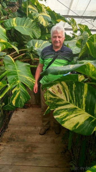 Шалом, Израиль! Часть 8. Парк орхидей "Утопия".