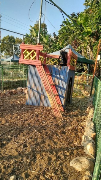 Шалом, Израиль! Часть 8. Парк орхидей "Утопия".