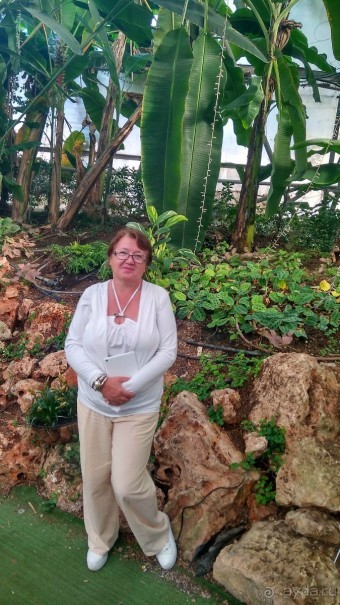 Шалом, Израиль! Часть 8. Парк орхидей "Утопия".