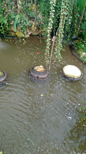 Шалом, Израиль! Часть 8. Парк орхидей "Утопия".