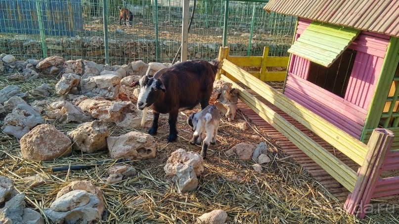 Шалом, Израиль! Часть 8. Парк орхидей "Утопия".