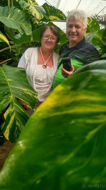 Шалом, Израиль! Часть 8. Парк орхидей "Утопия".