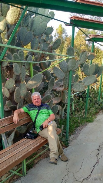 Шалом, Израиль! Часть 8. Парк орхидей "Утопия".