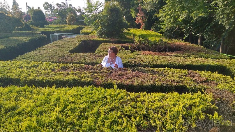 Шалом, Израиль! Часть 8. Парк орхидей "Утопия".