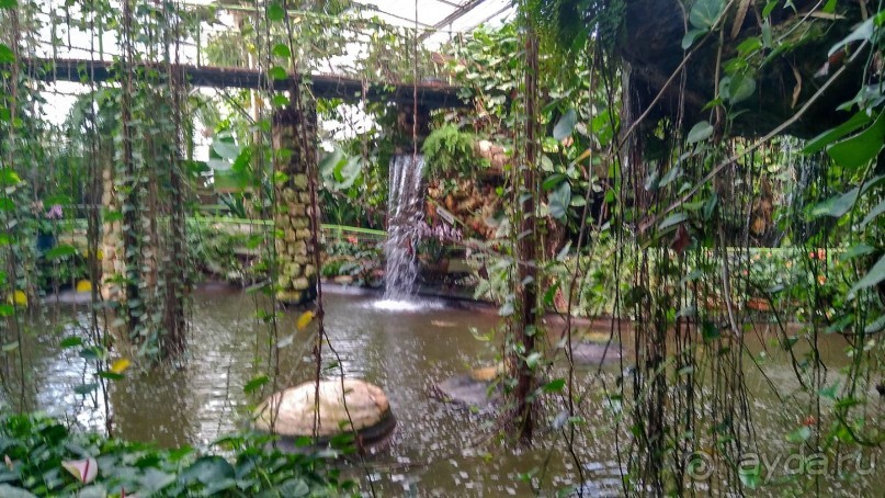 Шалом, Израиль! Часть 8. Парк орхидей "Утопия".