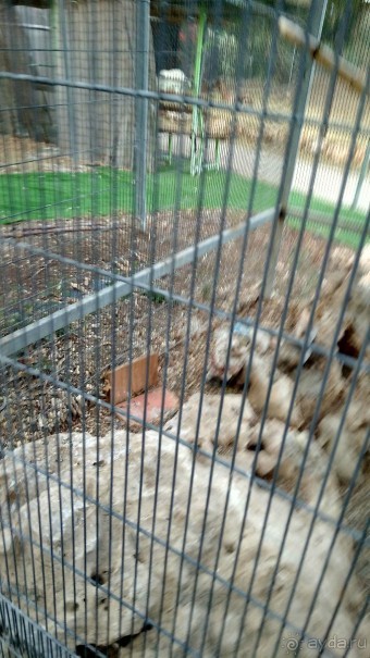 Шалом, Израиль! Часть 8. Парк орхидей "Утопия".