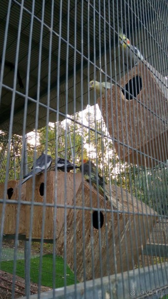 Шалом, Израиль! Часть 8. Парк орхидей "Утопия".