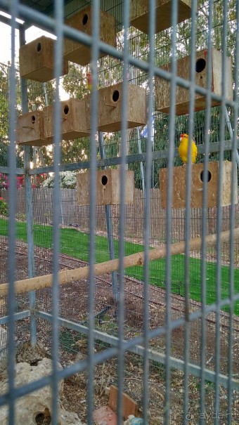 Шалом, Израиль! Часть 8. Парк орхидей "Утопия".