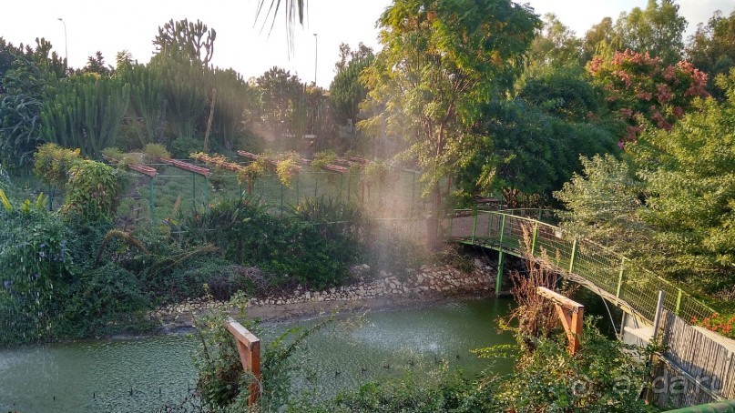 Шалом, Израиль! Часть 8. Парк орхидей "Утопия".