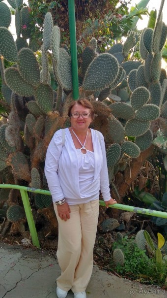 Шалом, Израиль! Часть 8. Парк орхидей "Утопия".