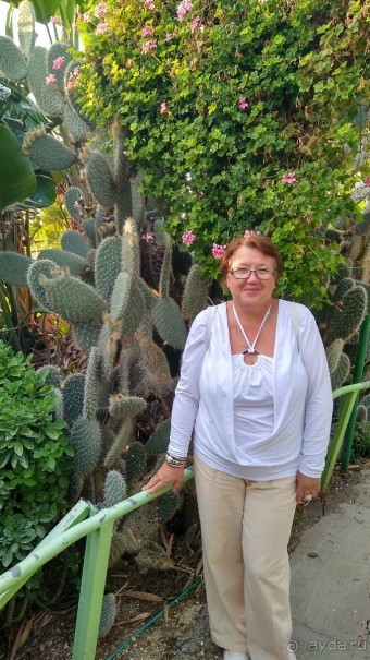 Шалом, Израиль! Часть 8. Парк орхидей "Утопия".