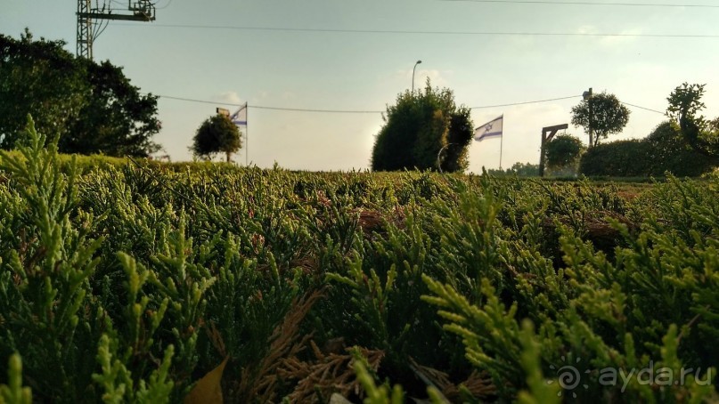 Шалом, Израиль! Часть 8. Парк орхидей "Утопия".