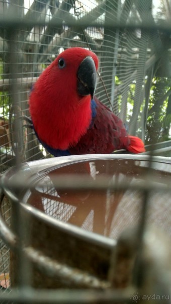 Шалом, Израиль! Часть 8. Парк орхидей "Утопия".