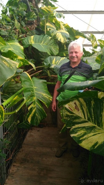 Шалом, Израиль! Часть 8. Парк орхидей "Утопия".