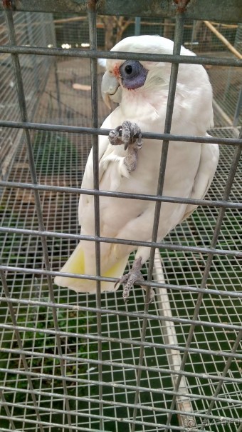 Шалом, Израиль! Часть 8. Парк орхидей "Утопия".