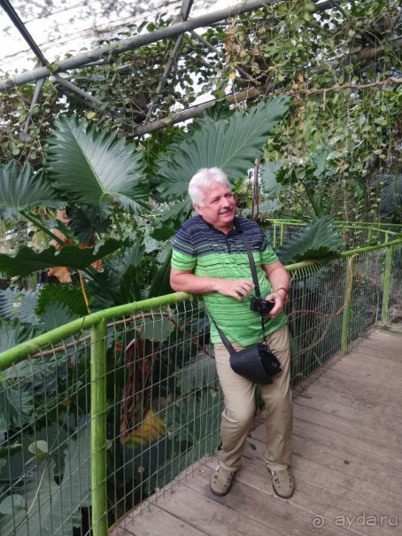 Шалом, Израиль! Часть 8. Парк орхидей "Утопия".