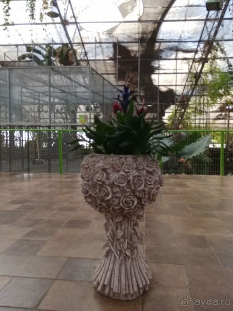 Шалом, Израиль! Часть 8. Парк орхидей "Утопия".