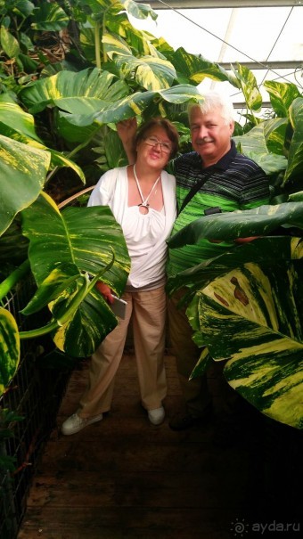 Шалом, Израиль! Часть 8. Парк орхидей "Утопия".