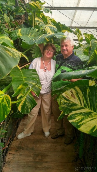 Шалом, Израиль! Часть 8. Парк орхидей "Утопия".