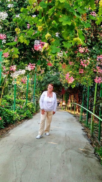 Шалом, Израиль! Часть 8. Парк орхидей "Утопия".