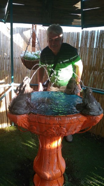 Шалом, Израиль! Часть 8. Парк орхидей "Утопия".