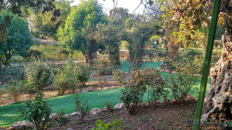 Шалом, Израиль! Часть 8. Парк орхидей "Утопия".