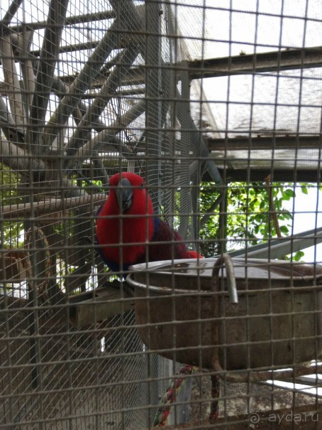 Шалом, Израиль! Часть 8. Парк орхидей "Утопия".