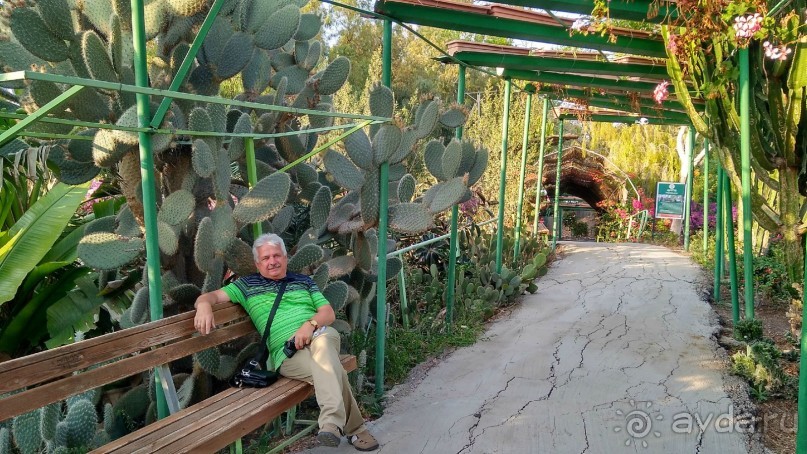 Шалом, Израиль! Часть 8. Парк орхидей "Утопия".