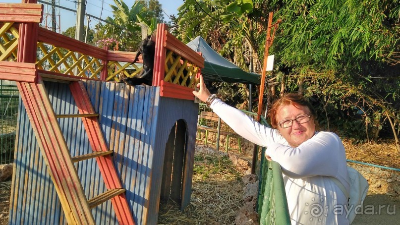 Шалом, Израиль! Часть 8. Парк орхидей "Утопия".