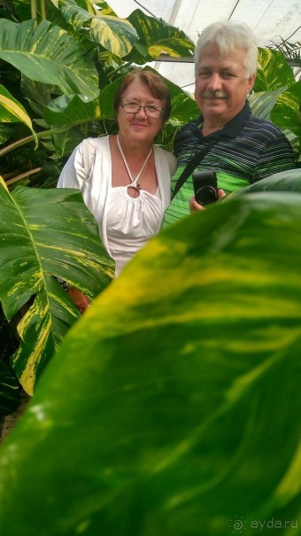 Шалом, Израиль! Часть 8. Парк орхидей "Утопия".