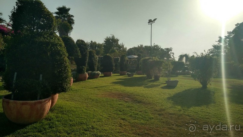 Шалом, Израиль! Часть 8. Парк орхидей "Утопия".