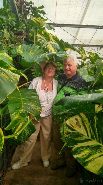 Шалом, Израиль! Часть 8. Парк орхидей "Утопия".