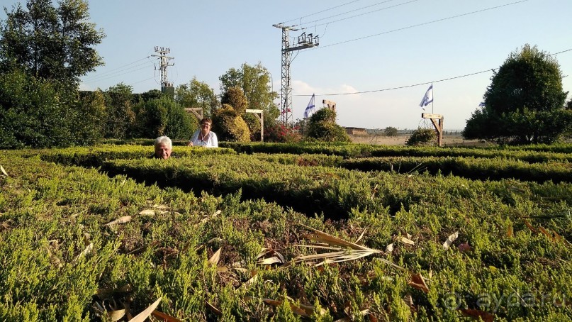 Шалом, Израиль! Часть 8. Парк орхидей "Утопия".