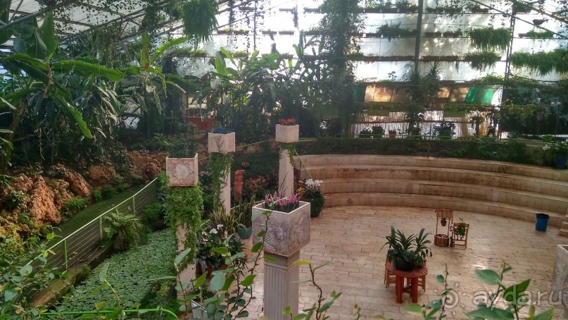 Шалом, Израиль! Часть 8. Парк орхидей "Утопия".