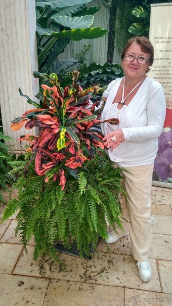 Шалом, Израиль! Часть 8. Парк орхидей "Утопия".