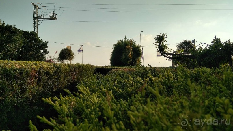 Шалом, Израиль! Часть 8. Парк орхидей "Утопия".