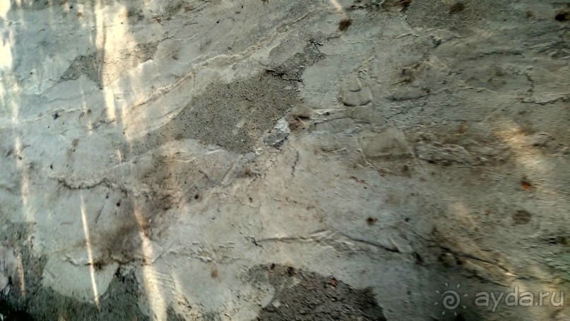 Шалом, Израиль! Часть 8. Парк орхидей "Утопия".