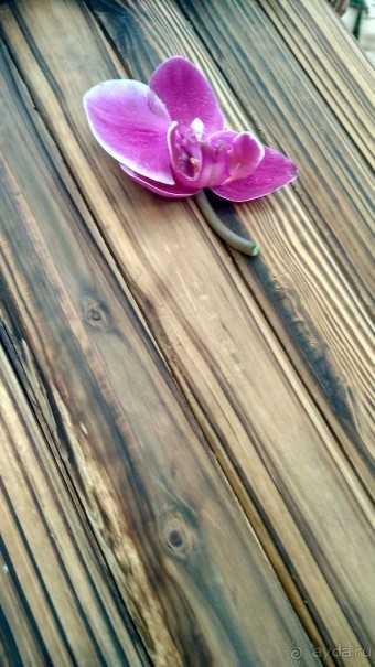 Шалом, Израиль! Часть 8. Парк орхидей "Утопия".