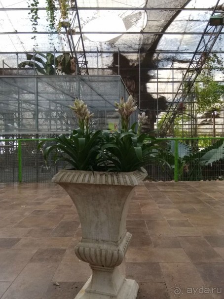 Шалом, Израиль! Часть 8. Парк орхидей "Утопия".