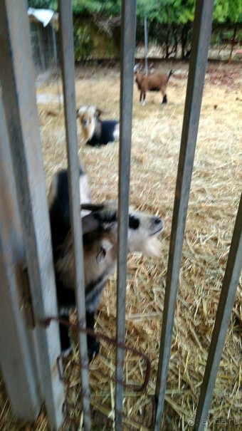 Шалом, Израиль! Часть 8. Парк орхидей "Утопия".