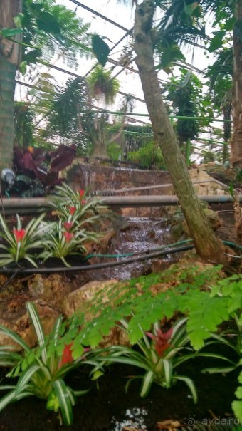 Шалом, Израиль! Часть 8. Парк орхидей "Утопия".