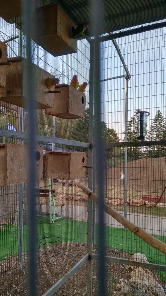 Шалом, Израиль! Часть 8. Парк орхидей "Утопия".