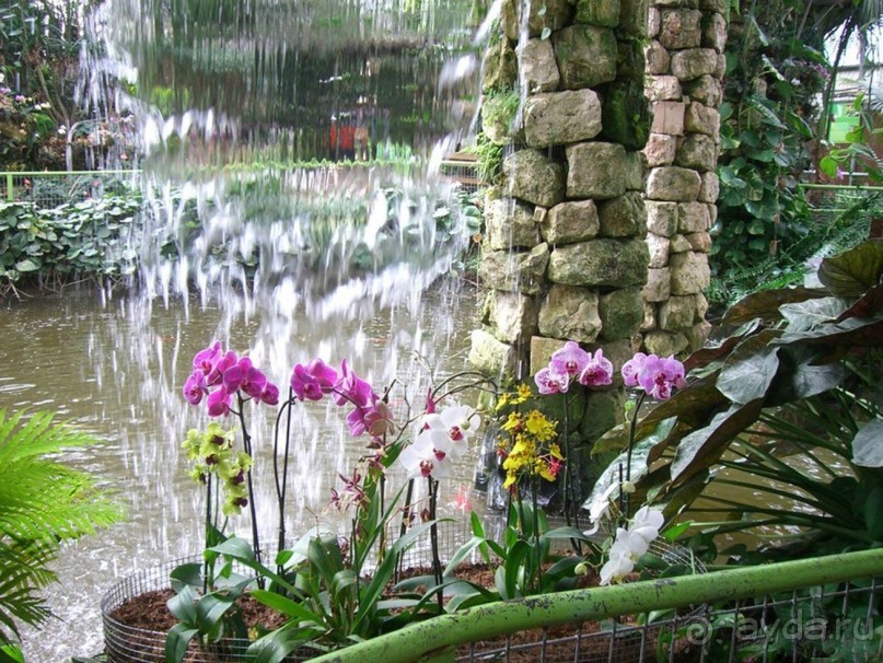 Шалом, Израиль! Часть 8. Парк орхидей "Утопия".