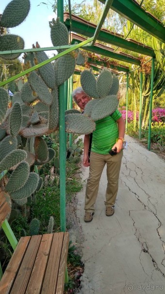 Шалом, Израиль! Часть 8. Парк орхидей "Утопия".